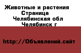  Животные и растения - Страница 2 . Челябинская обл.,Челябинск г.